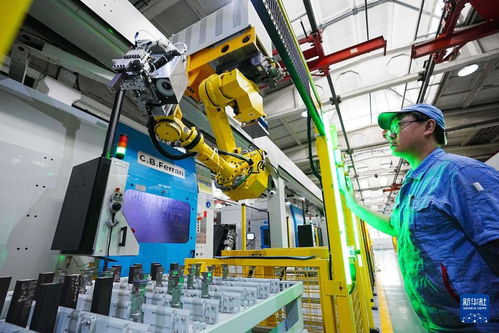 新時(shí)代中國調(diào)研行之看區(qū)域 | 東北智造 以企業(yè)網(wǎng)絡(luò)技術(shù)匯聚振興新動能